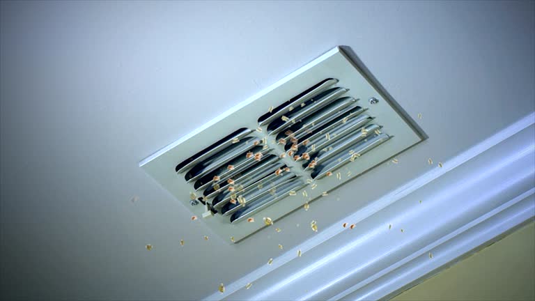 Best HVAC Duct Inspection Services  in Gig Harbor, WA