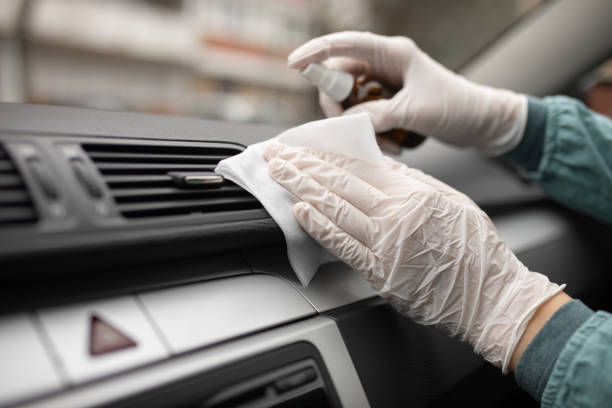 Best Air Duct Mold Removal  in Gig Harbor, WA